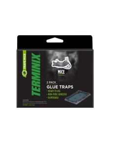 Mouse Glue Traps - 04110GLUMOUS